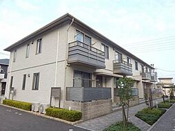 ヌアヌ