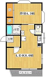 エリーナ・プラザ曙2 1LDKの間取図画像