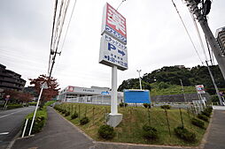 レジーナ
