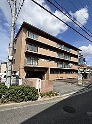 パルテール中もず