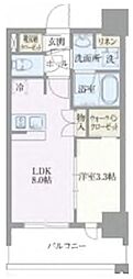 ライトテラス浅草 1LDKの間取図画像