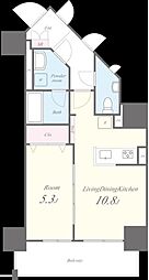 ルーツ文京音羽 10階1LDKの間取り