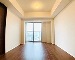 Ｂｒｉｌｌｉａ　ＴＨＥ　ＴＯＷＥＲ　ＴＯＫＹＯ　ＹＡＥＳＵ 23階1LDKのリビング/ダイニング