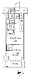 ラティエラ中野新井 1DKの間取図画像
