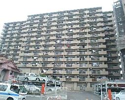 スペリア塩竈旭町1001号室