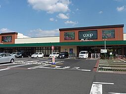 Lupinus A棟
