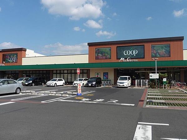 Lupinus A棟