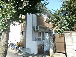 ハイムマンドリン