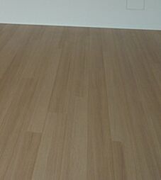 都営大江戸線 西新宿五丁目駅 徒歩7分の賃貸マンション 10階2LDKのリビング/ダイニング