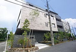 マンスフィールド　ヤマコ