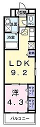 リッシュ メゾン 1LDKの間取図画像