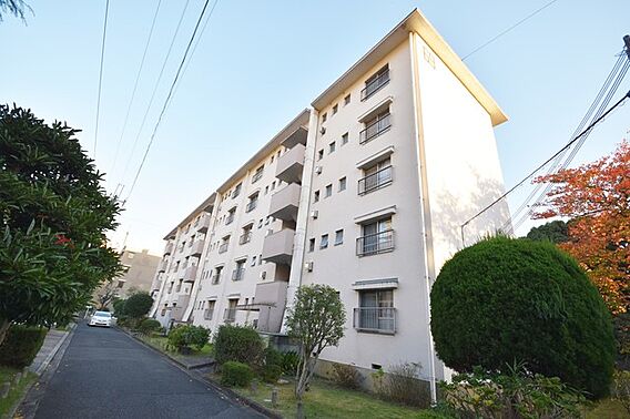 中宮第四団地６９号棟_トップ画像