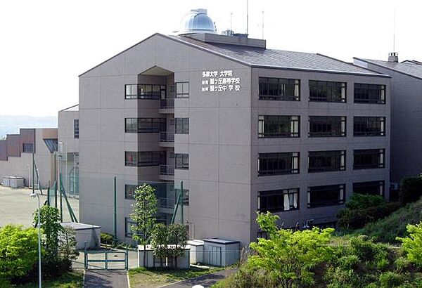 画像26:多摩大学 2938m