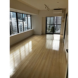 都営三田線 芝公園駅 徒歩7分の賃貸マンション 11階1LDKのリビング/ダイニング