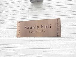 カウニスコティ 101