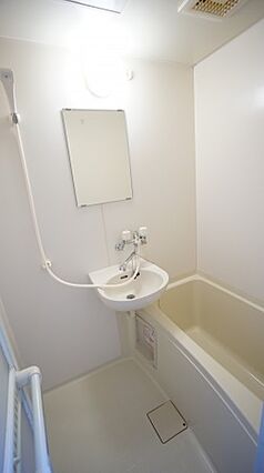 ビオラセア_その他_0
