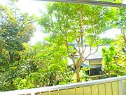 景色