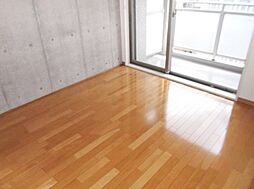 ヴィルラフィーネ東新宿 8階ワンルームのリビング/ダイニング