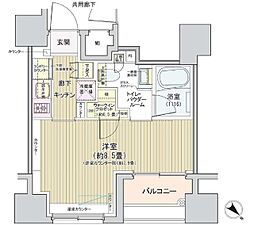アネーロ銀座 10階1Kの間取り