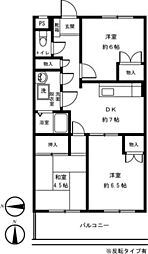 マグノリア千川 3DKの間取図画像