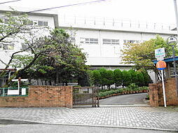 ホワイトコーストポロ