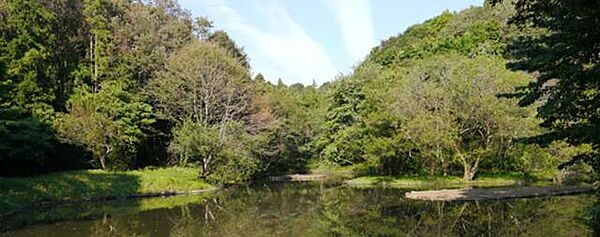 画像29:県立座間谷戸山公園 870m