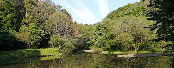 神奈川県座間市緑ケ丘２丁目(賃貸アパート1K・2階・25.10㎡)の写真 その22