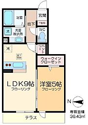 プランドール柴又 1階1LDKの間取り