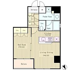 Ｌｉａｉｓｏｎ銀座一丁目 7階1LDKの間取り