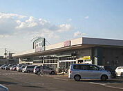 ウオロク興野店 1224m