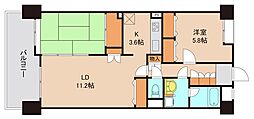 グランドパレス37 2LDKの間取図画像