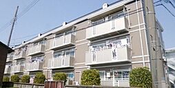 セントラルパディ