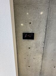 2025年6月撮影