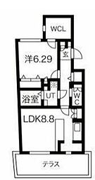 PASEO四谷三丁目 1階1LDKの間取り