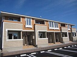 マンダリン　ダック