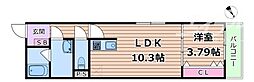 NEXRISE 日の出(仮) ドロップショット日の出 1LDKの間取図画像