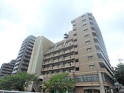 外観・土地