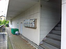 5 / 13