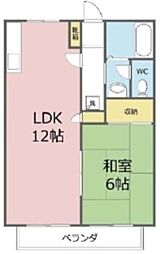 アーバニティーテラス 1階1LDKの間取り