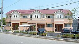 パラシェンプレ