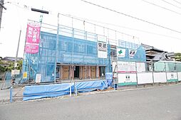ラベンダー