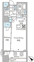 アネシア築地ステーションレジデンス 1LDKの間取図画像