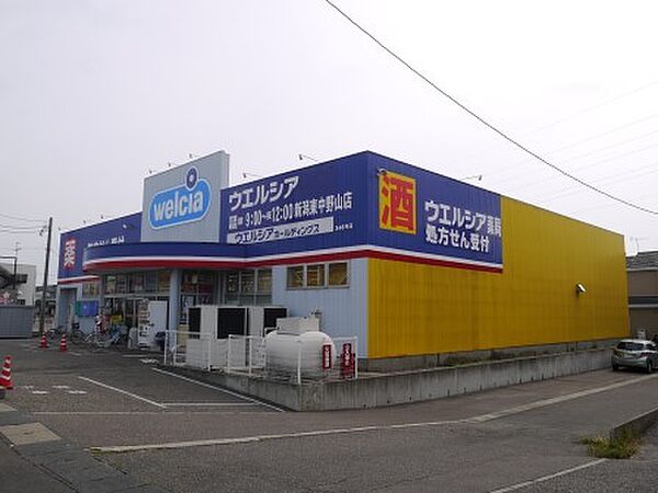 画像25:ウエルシア薬局新潟東中野山店 351m