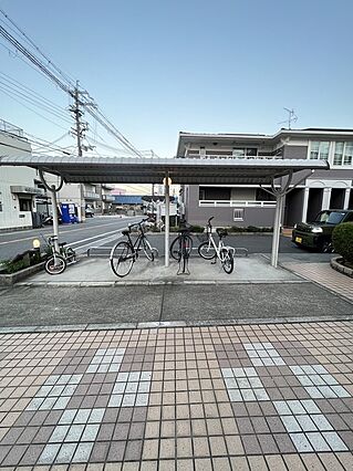ゴールドクレスト_その他_1