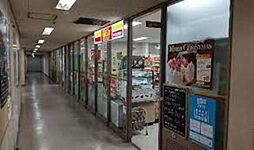 KOJIKA(こじか)