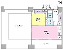 ロネスタR文京護国寺 11階1LDKの間取り