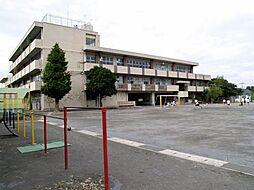 SYハイア