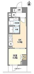 Augusta Residence新中野 1DKの間取図画像