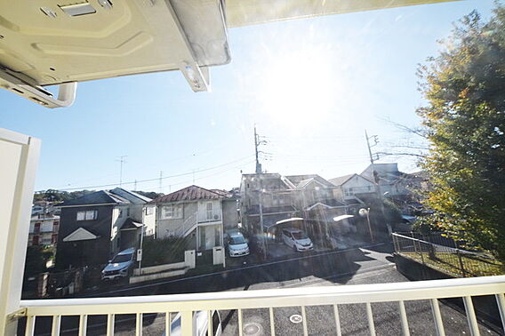 ルミニコスモス_その他_1