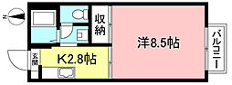 メゾン・ジュネス 1Kの間取図画像